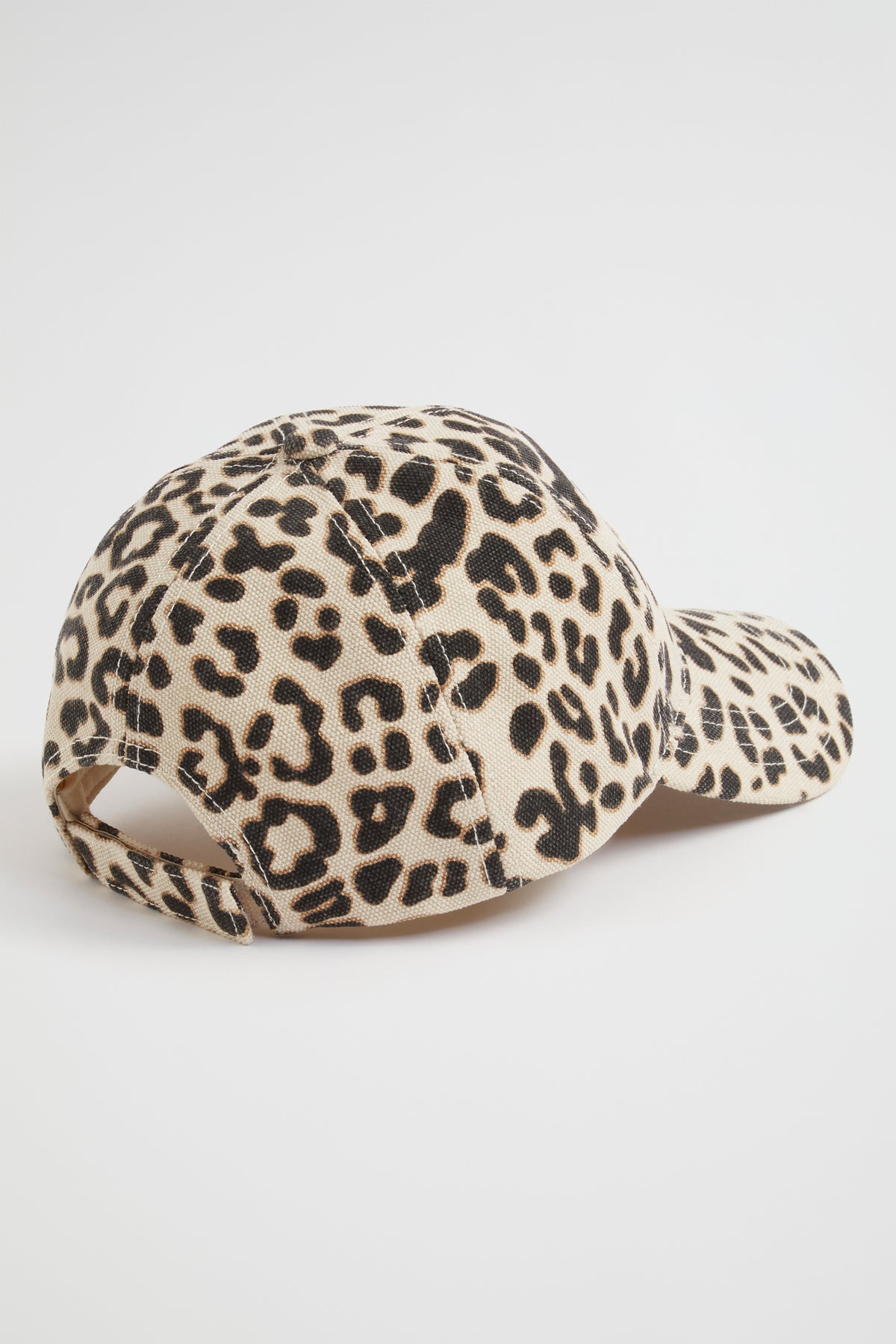 Seed Cap