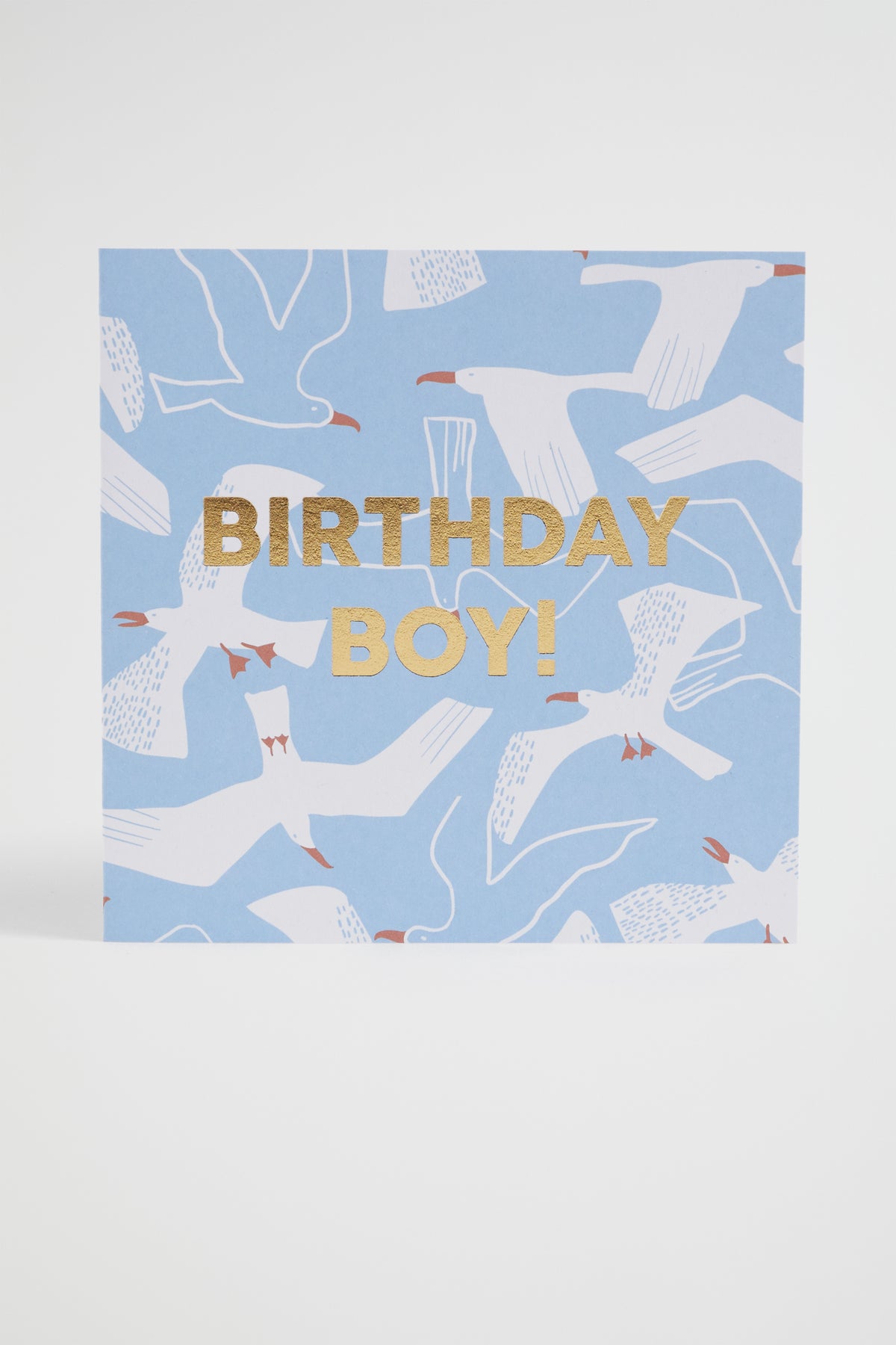 Seagull Birthday Card
