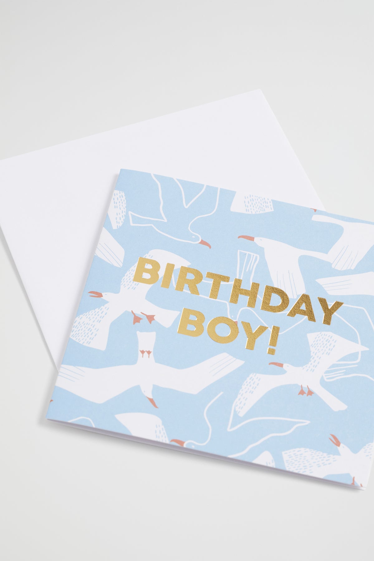 Seagull Birthday Card