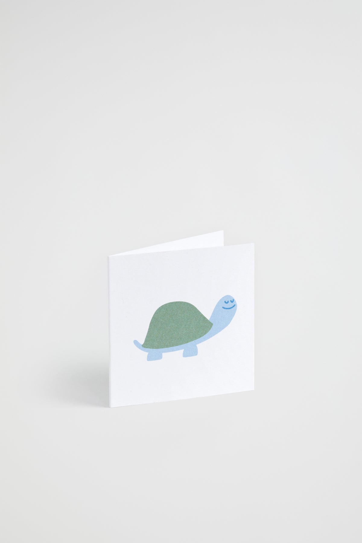 Small Turtle Card