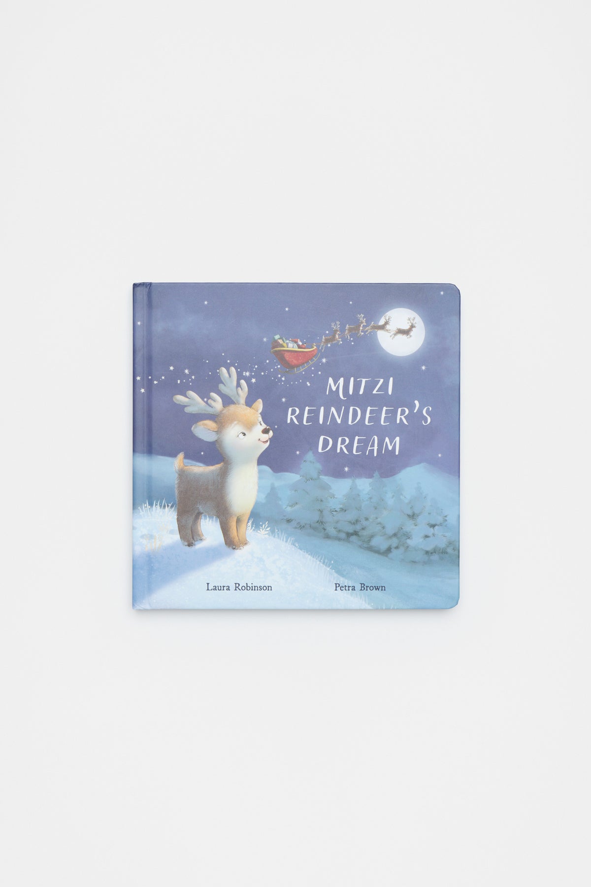 A Reindeer's Dream Book