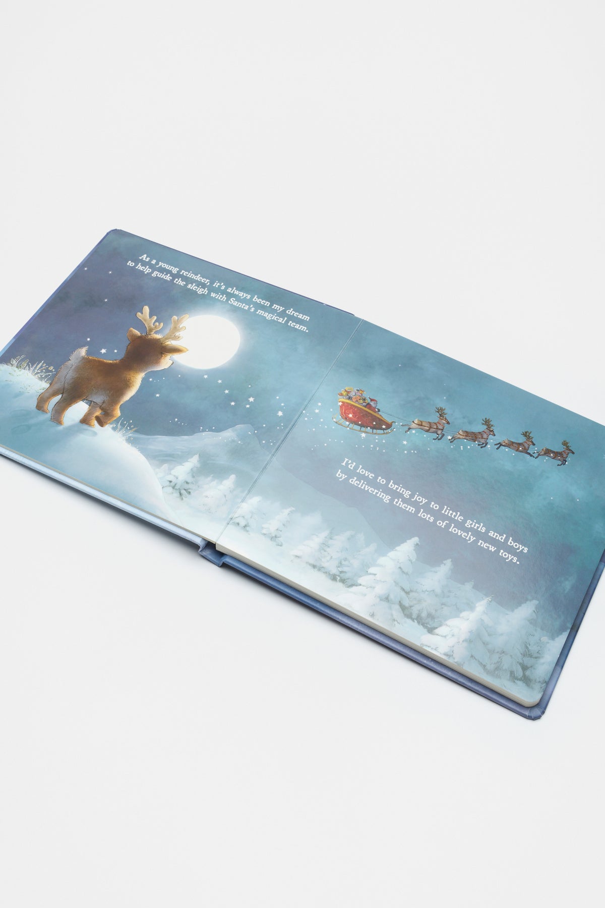 A Reindeer's Dream Book