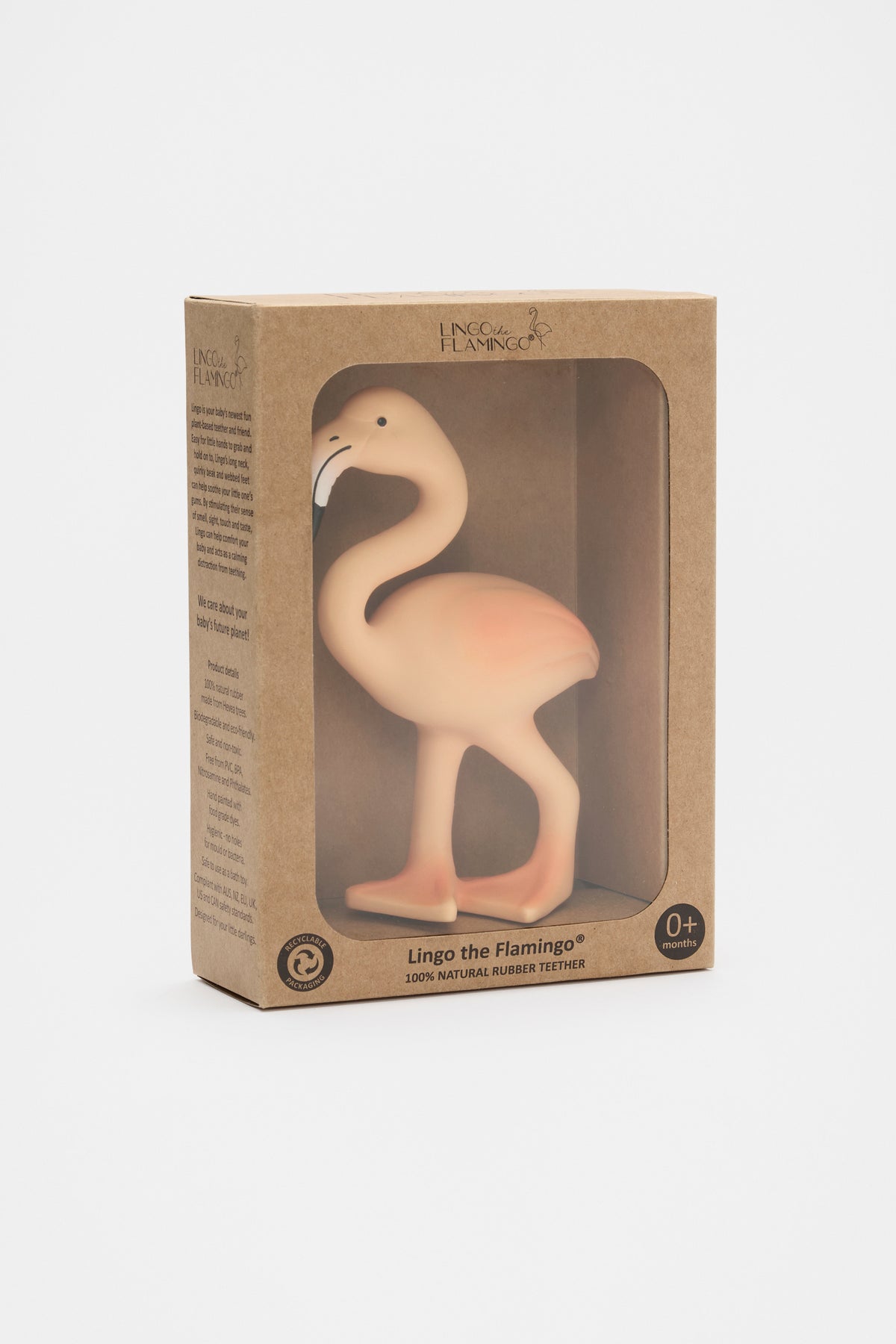 Lingo The Flamingo