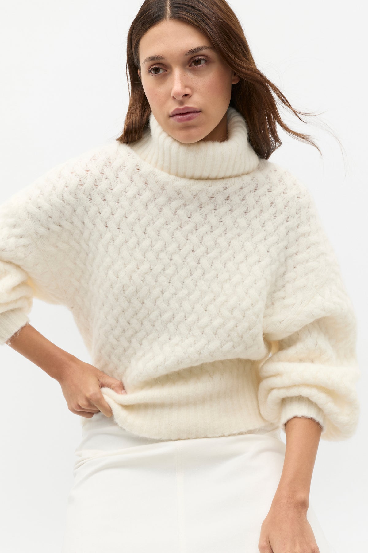 Lofty Textured Roll Neck Knit