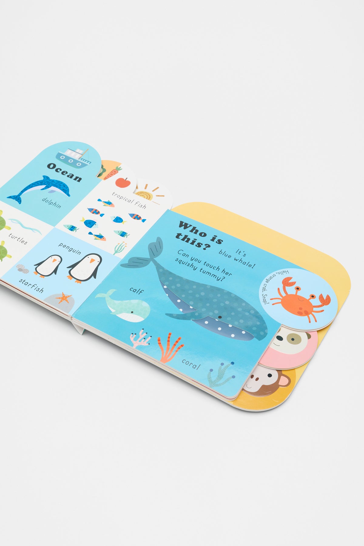 Touchy Feelies: Animal Book