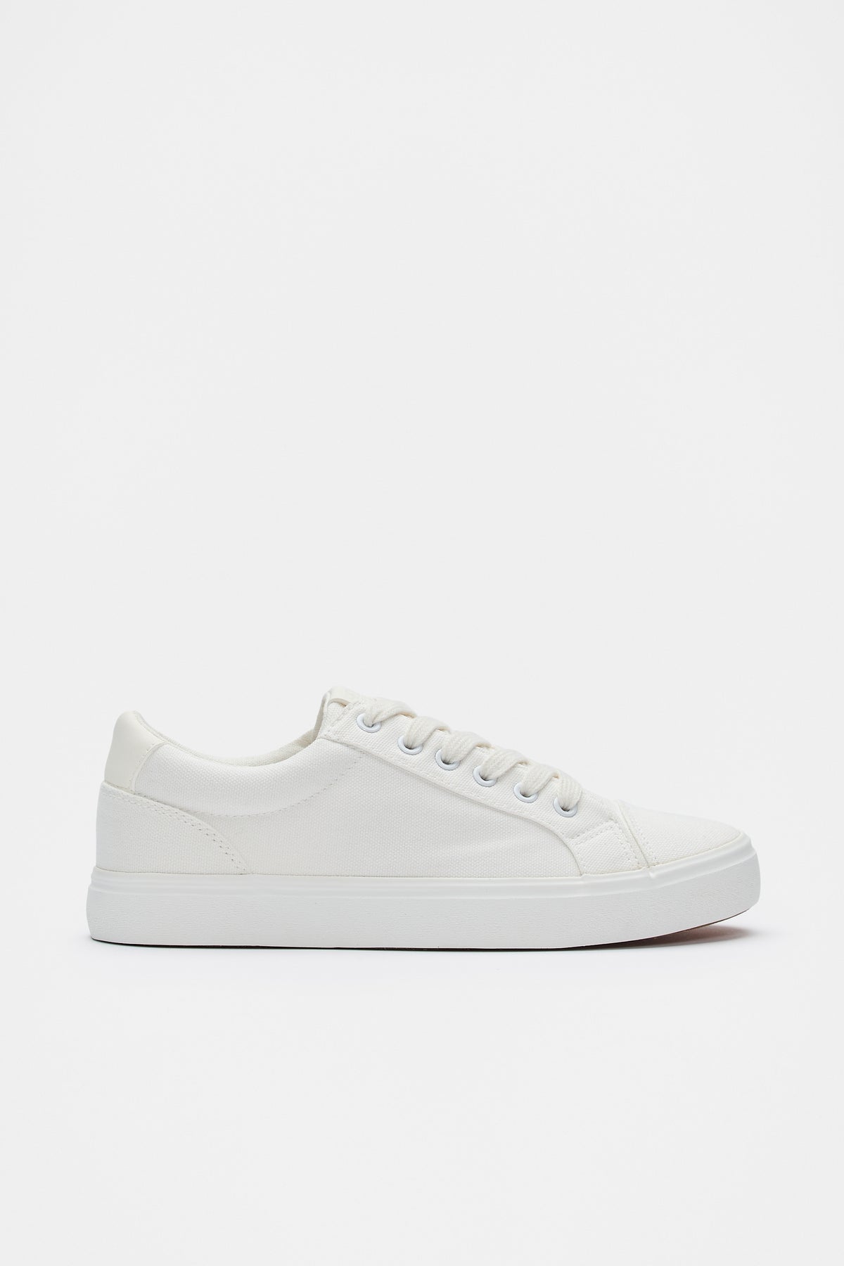 Canvas Trainer
