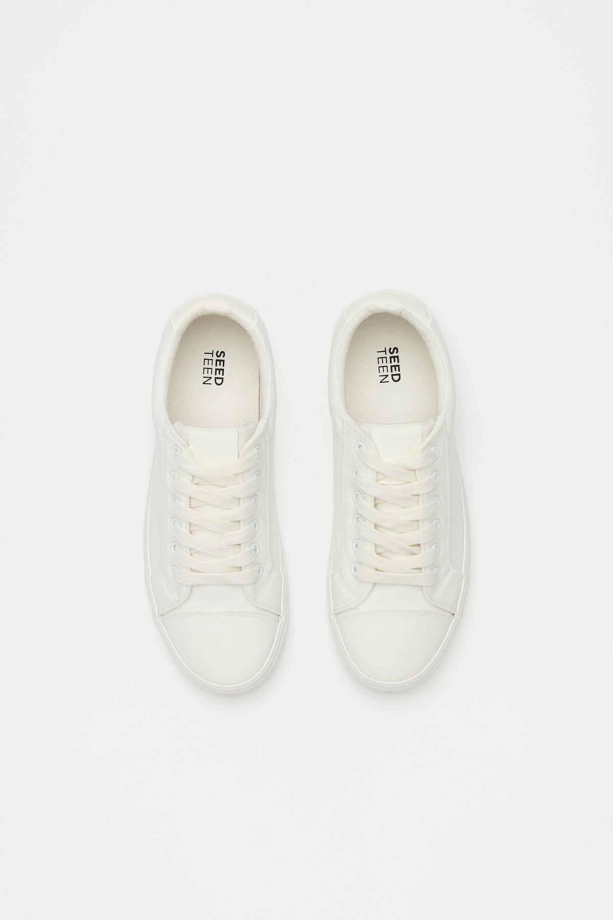 Canvas Trainer