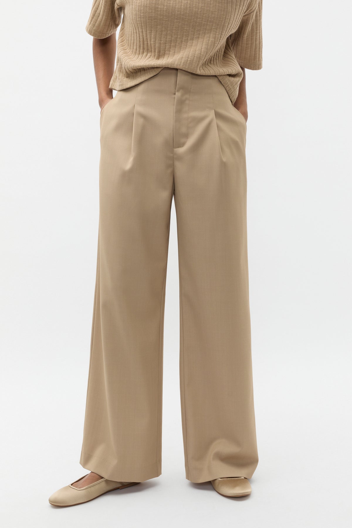Crossdye Pleat Suit Pant