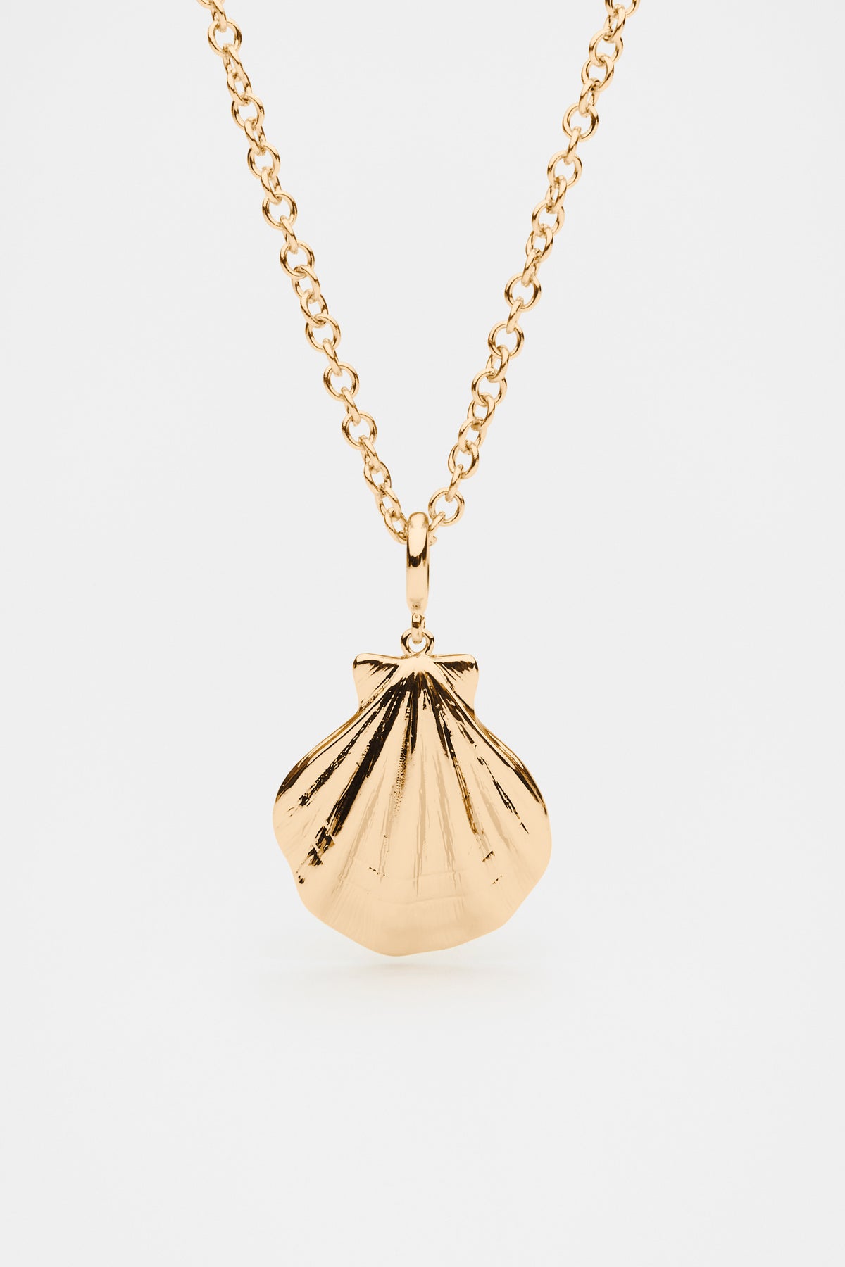 Shell Charm Pendant Necklace