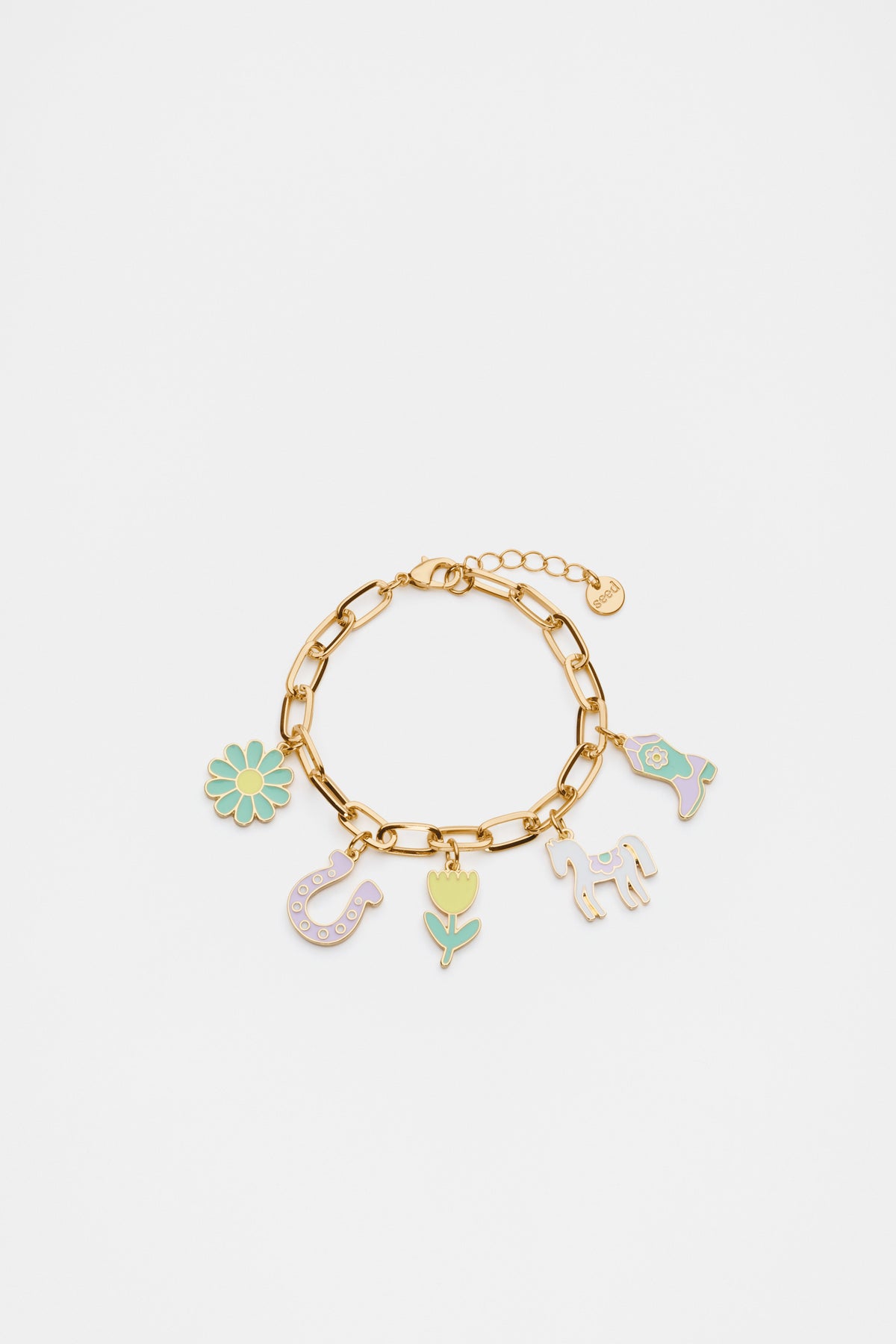 Western Charm Bracelet