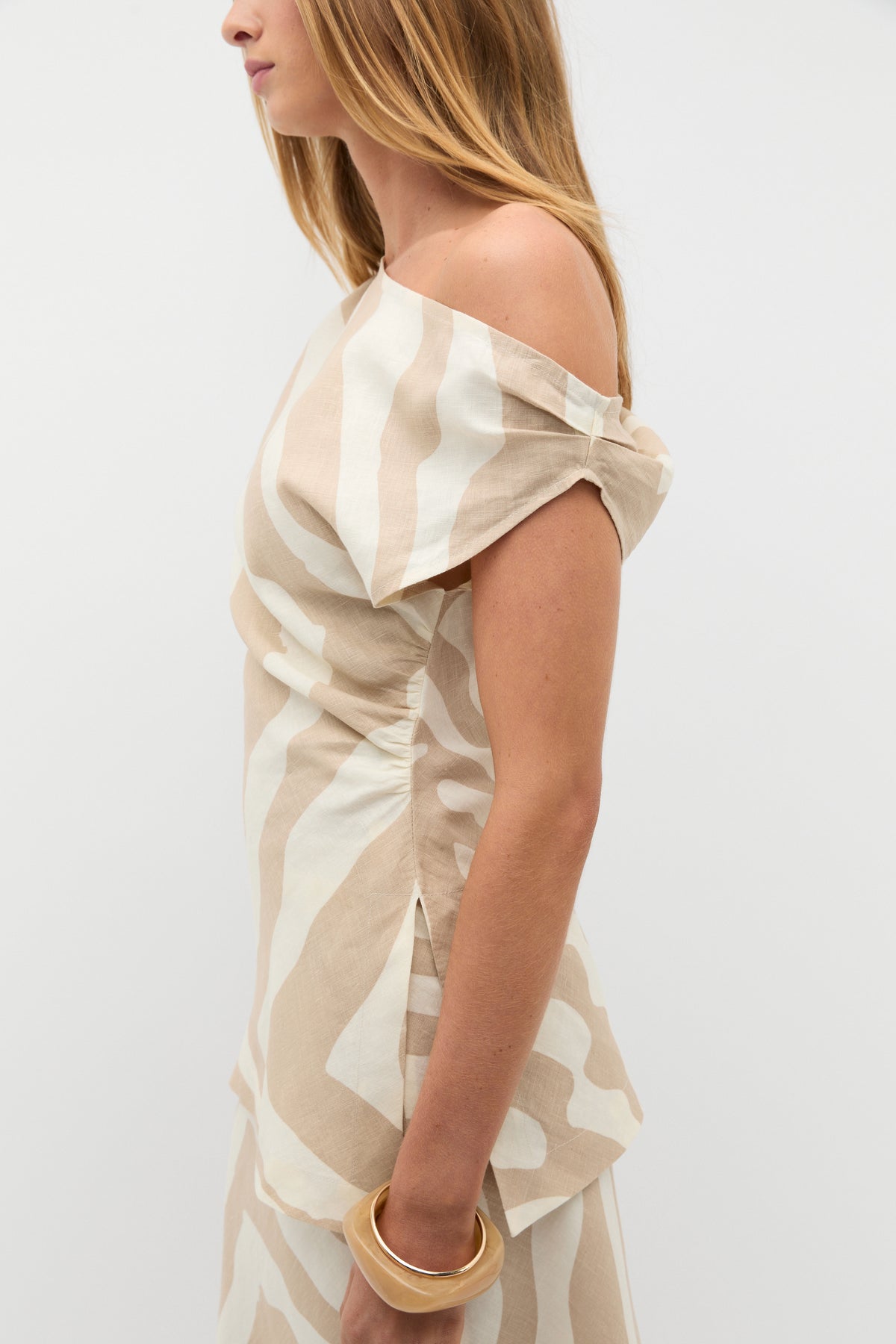 Abstract Animal Asymmetric Top