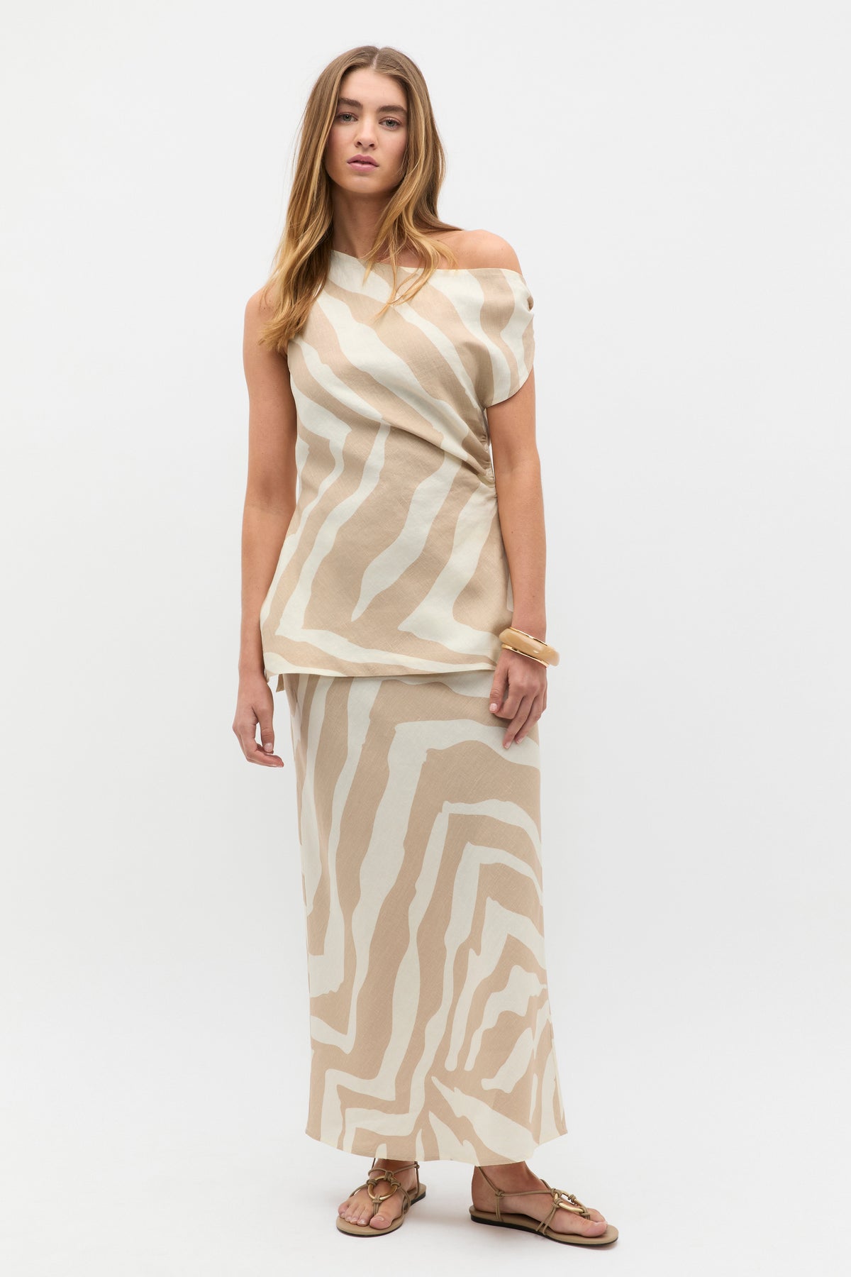Abstract Animal Asymmetric Top