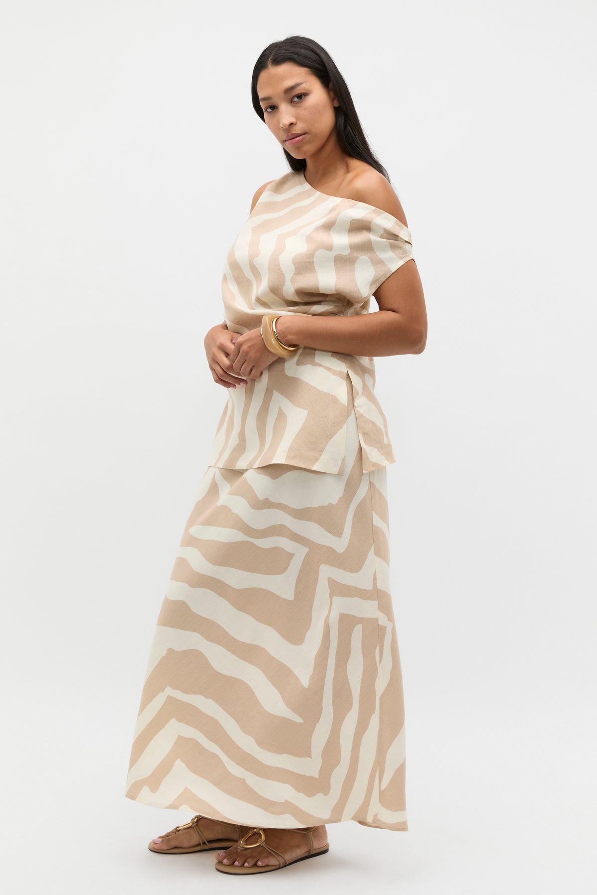 Abstract Animal Asymmetric Top