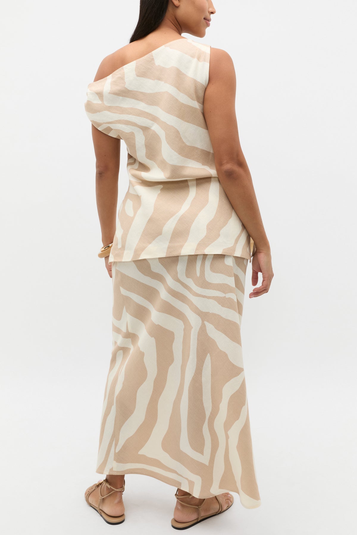 Abstract Animal Asymmetric Top