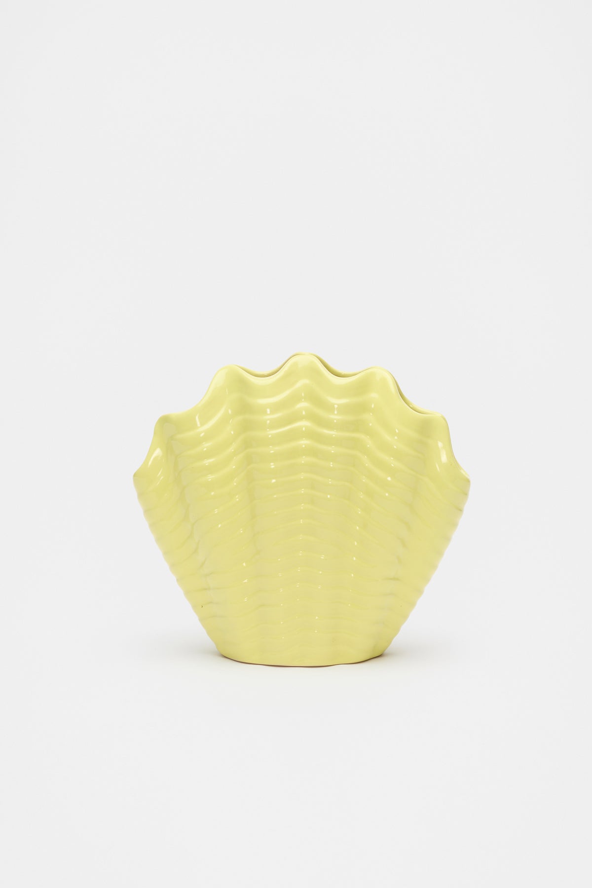 Shell Vase