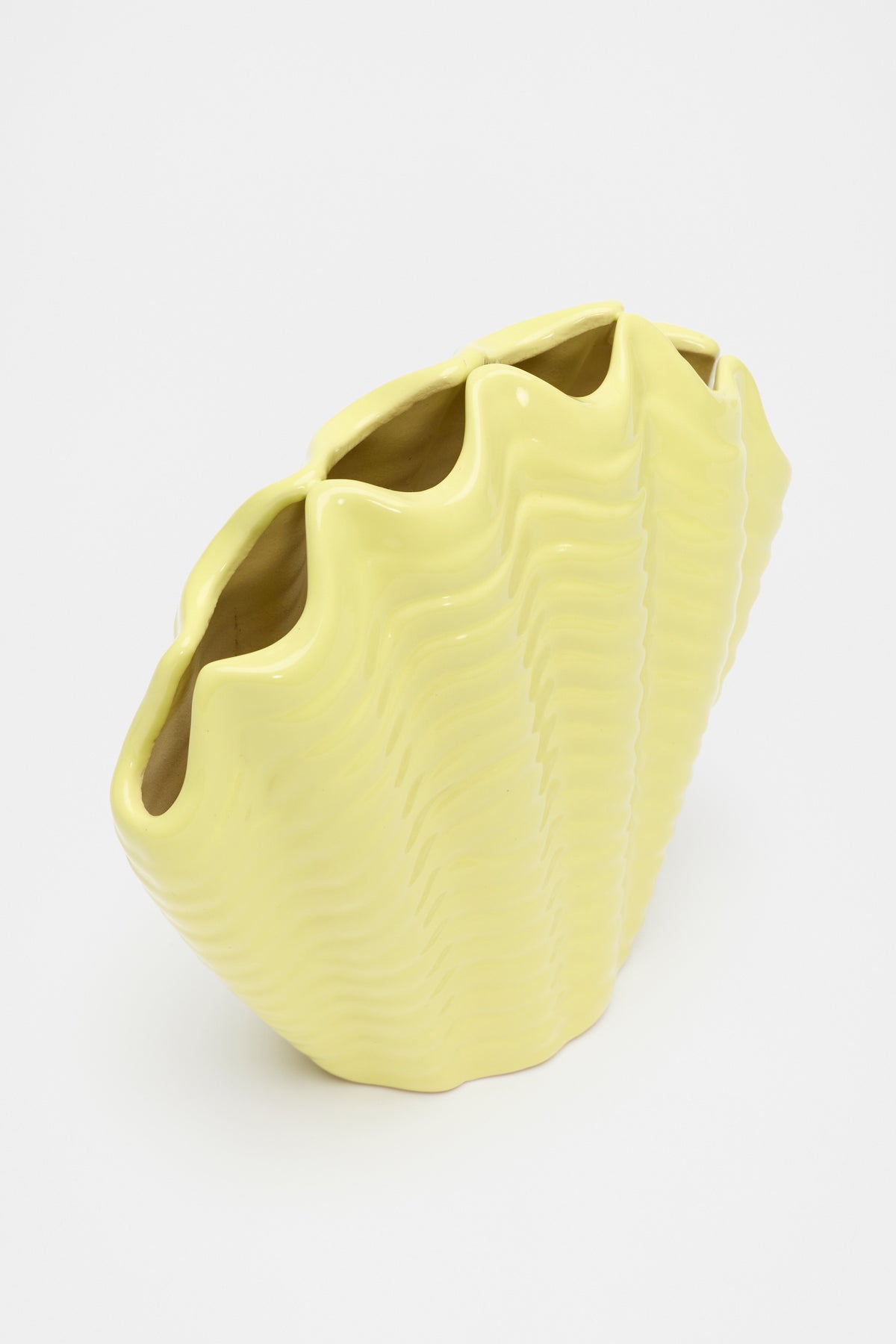 Shell Vase