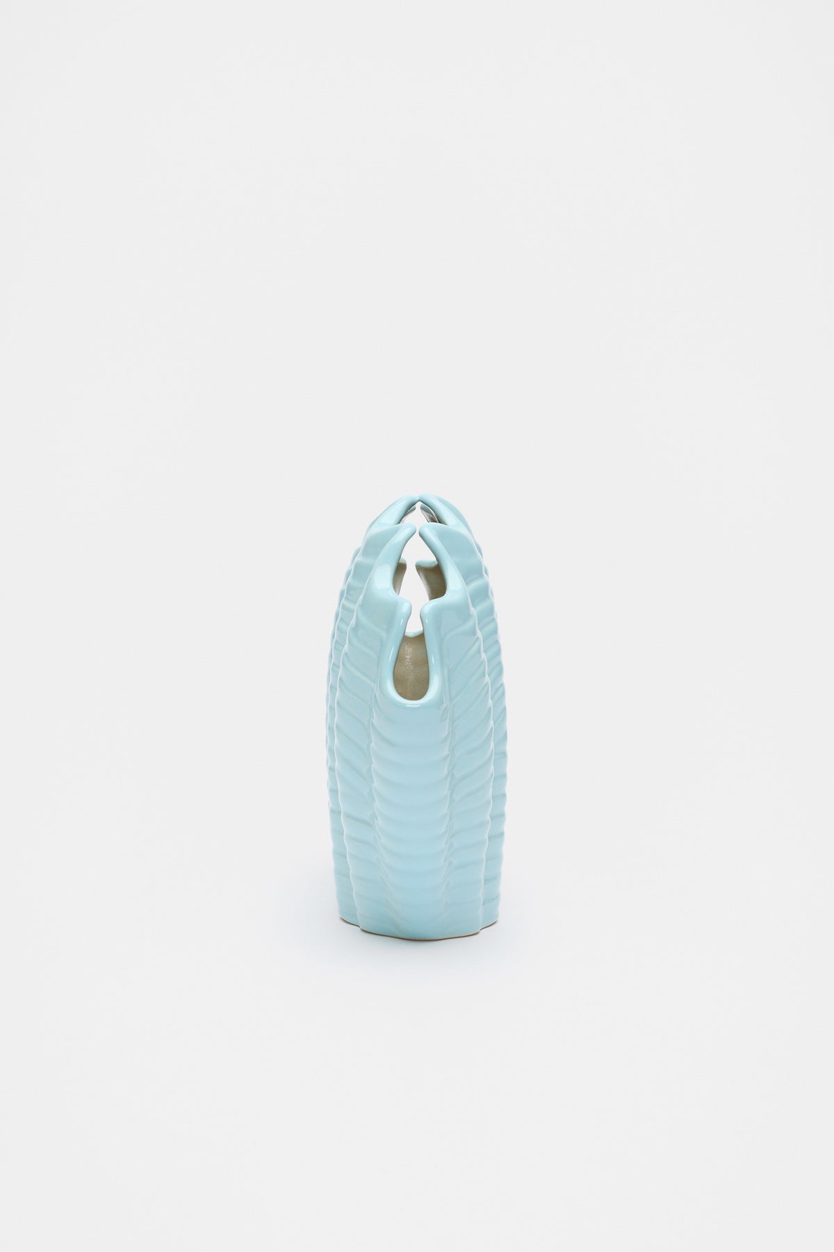 Shell Vase