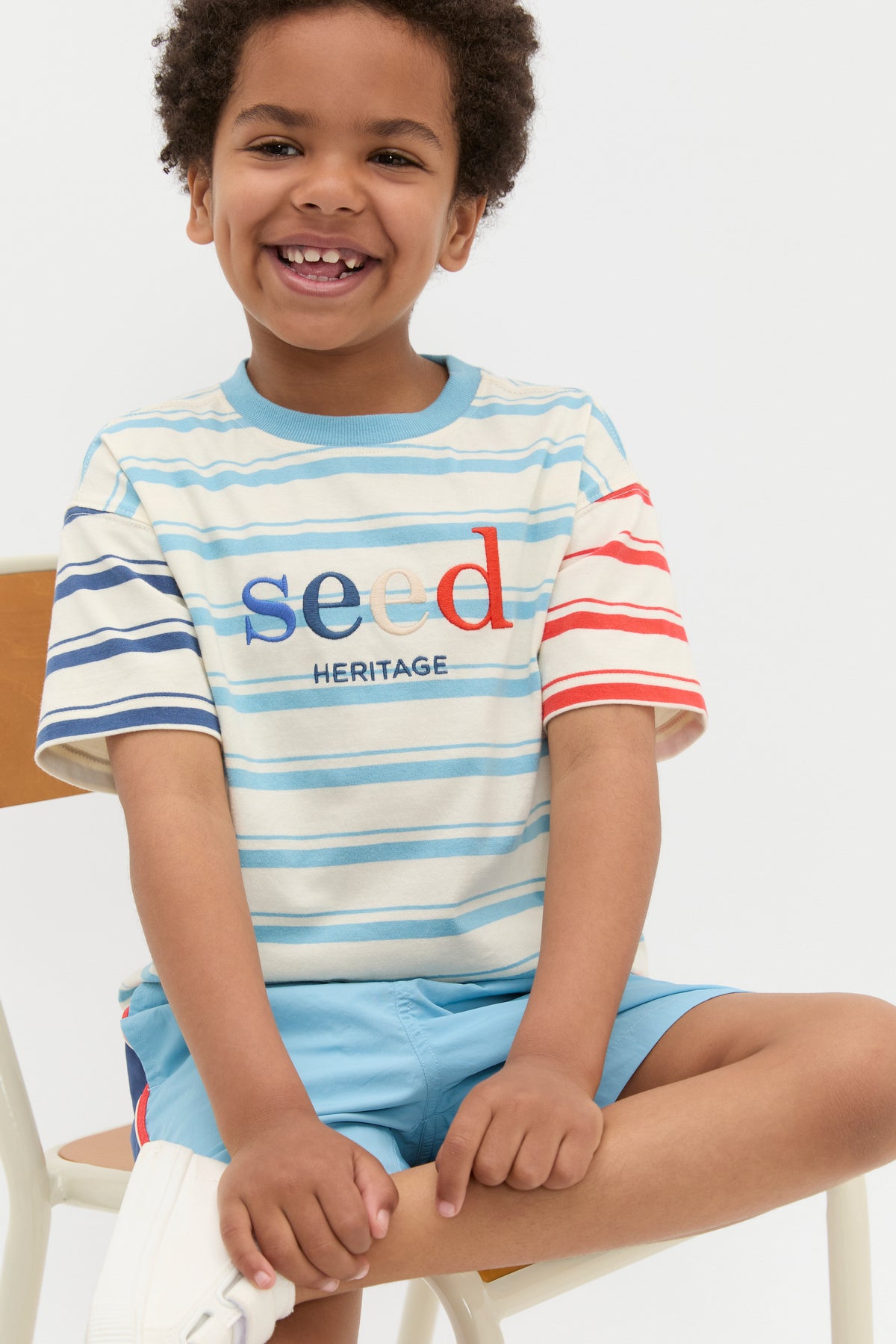 Variegated Stripe Logo Tee