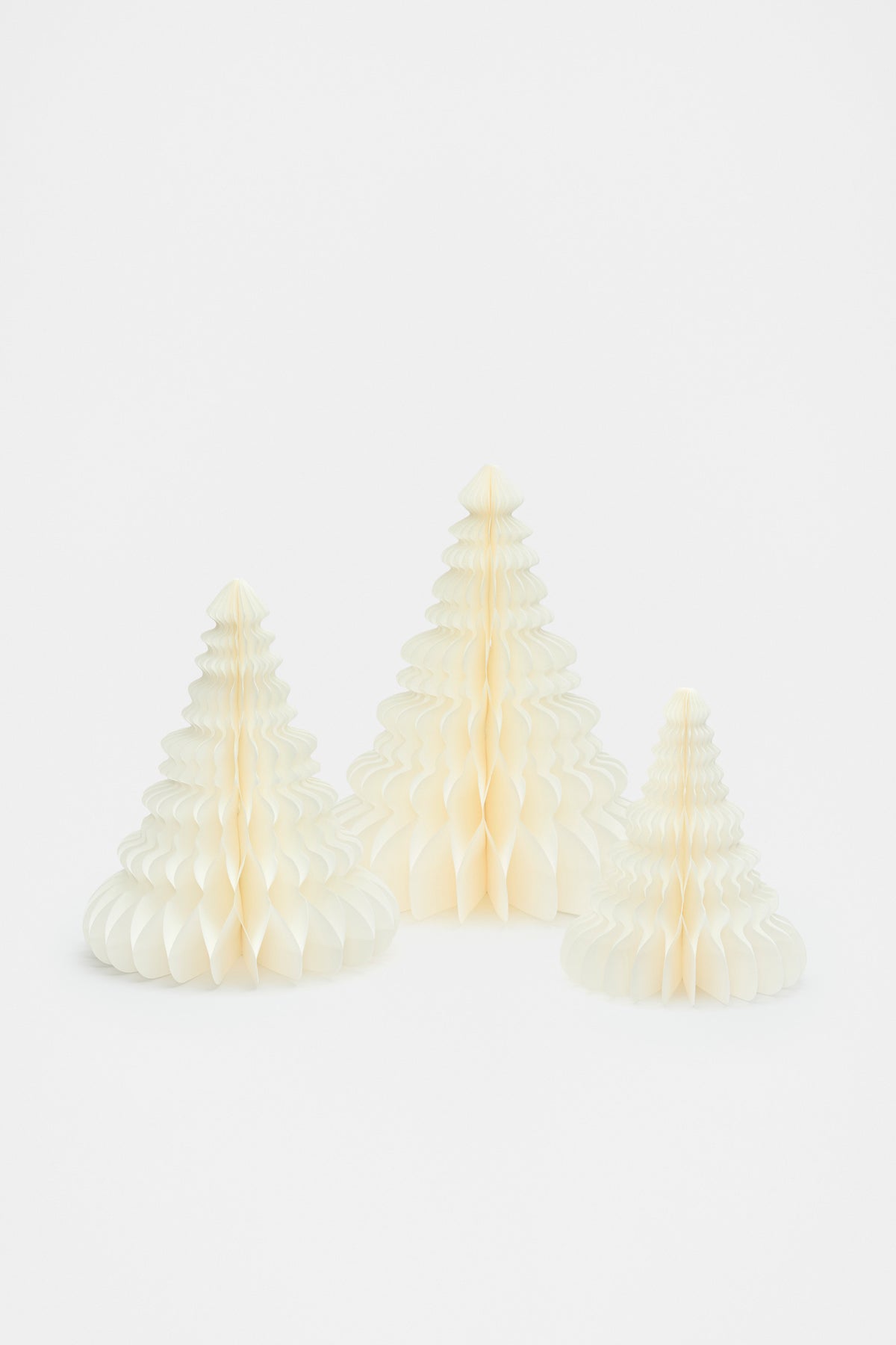 Paper Tree Large