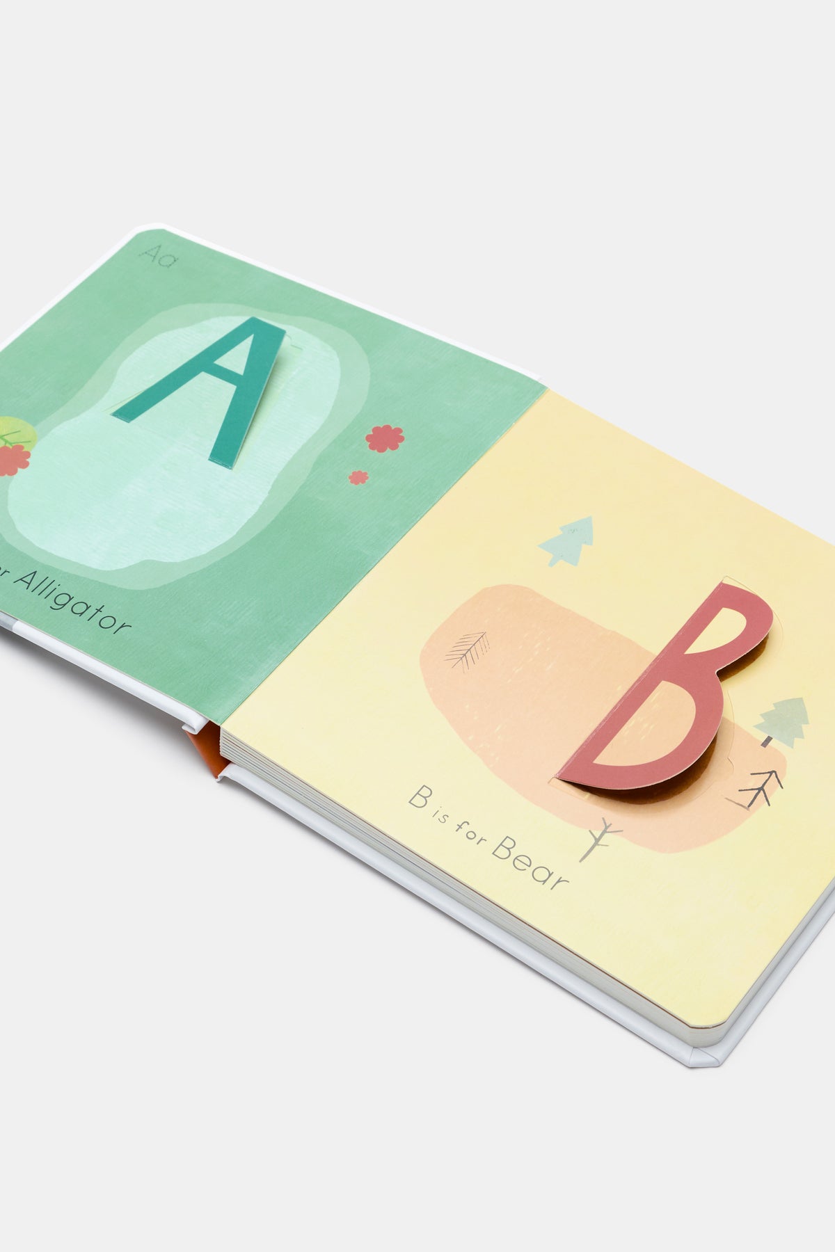 A To Z: An Alphabet Of Animals