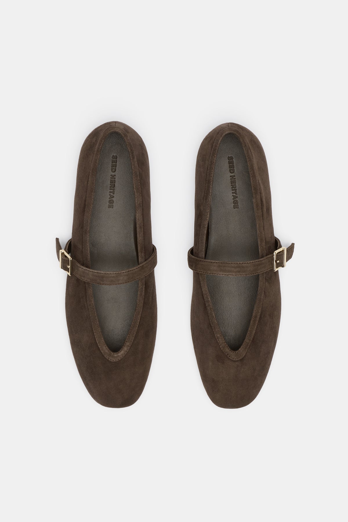 Arlo Ballet Flat