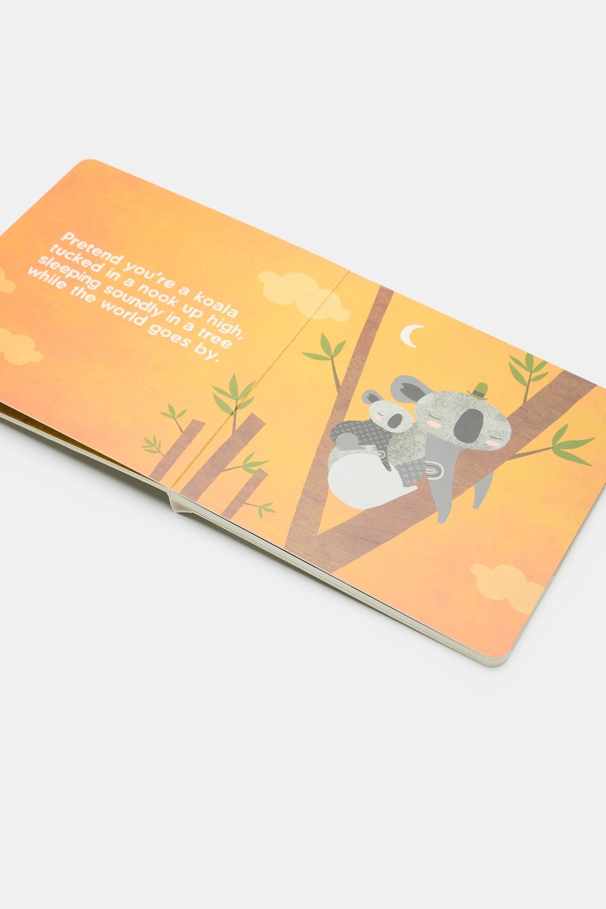 Snore Like A Bear Book