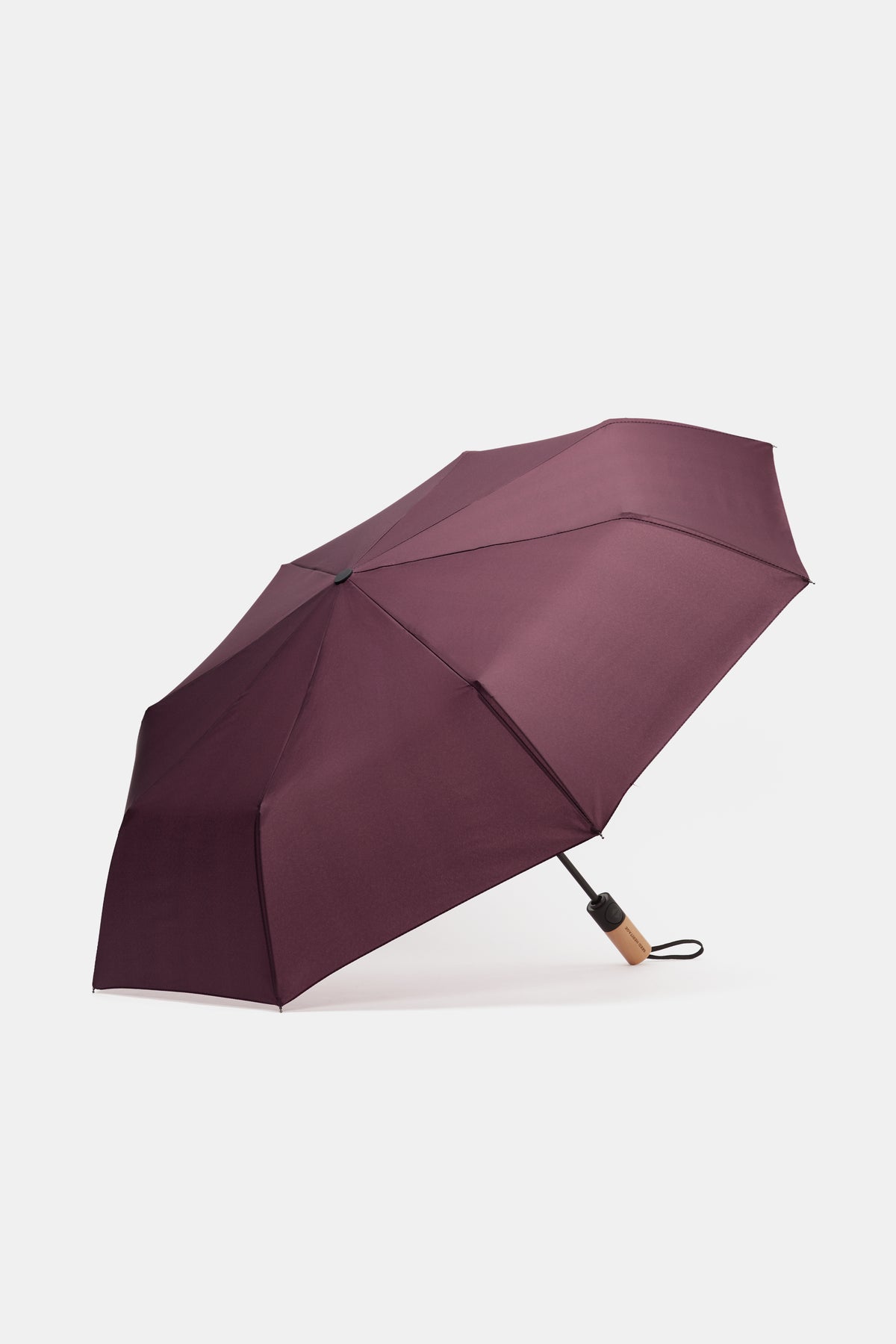Automatic Umbrella