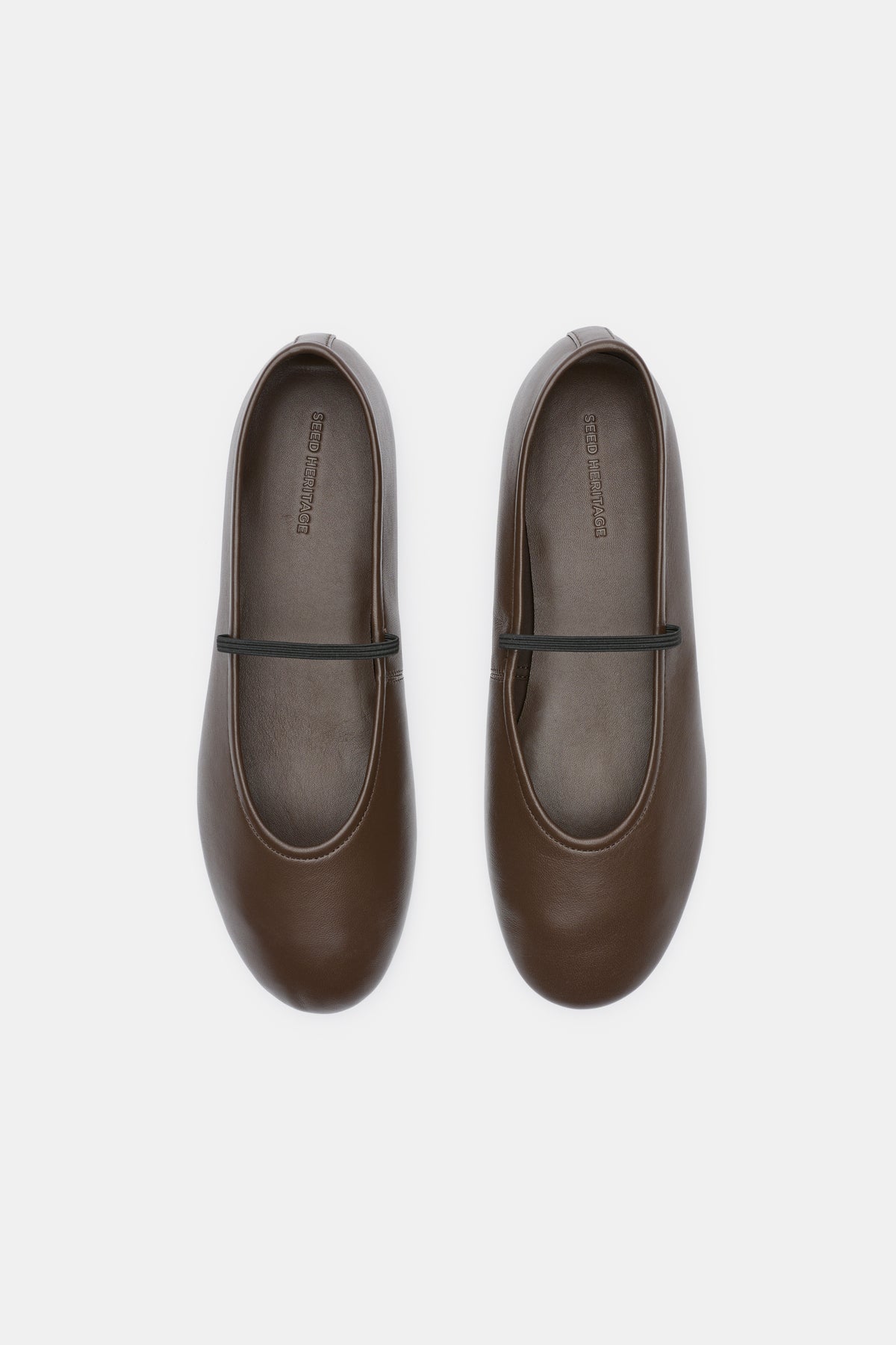 Ariel Ballet Flat