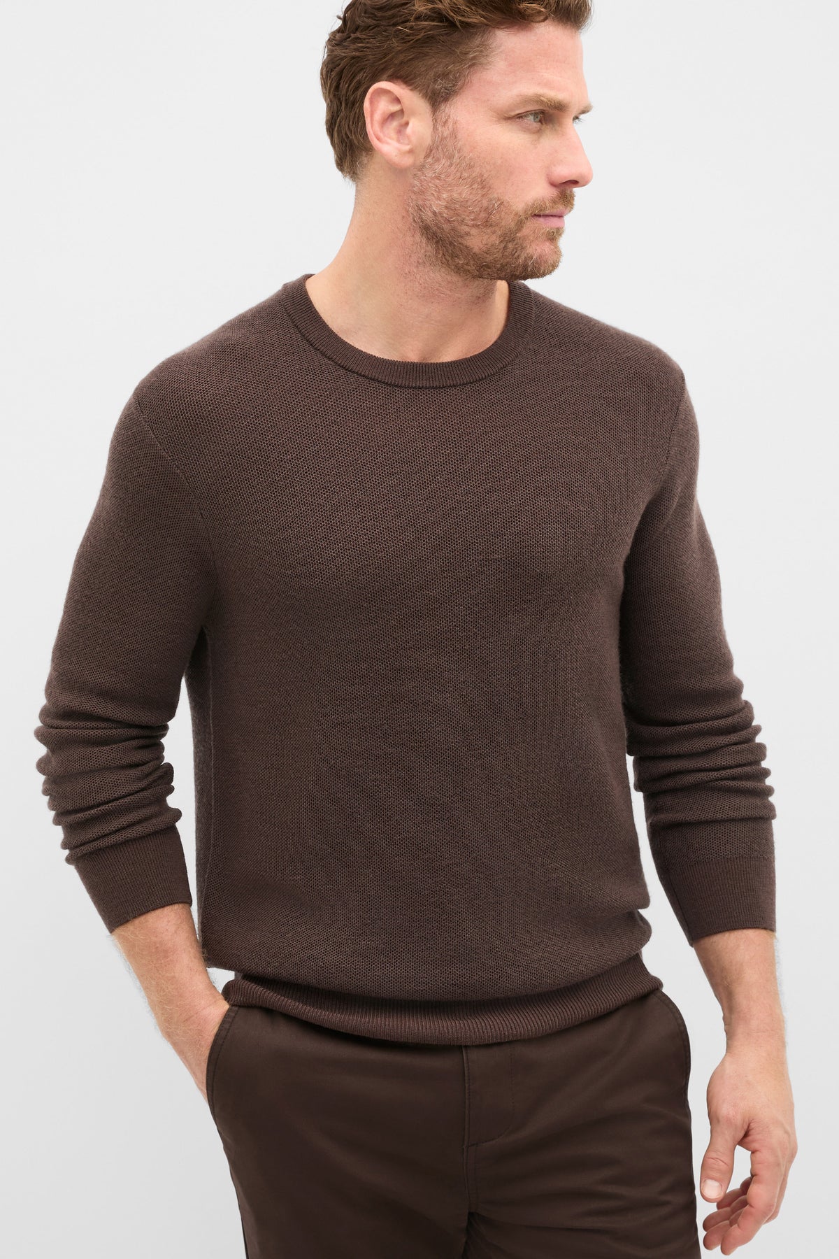 Merino Crew Neck Knit