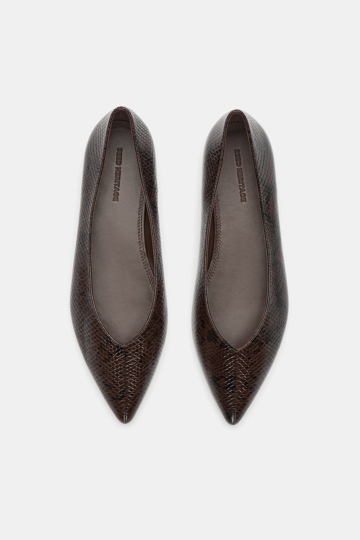 Clem Pointed Ballet Flat