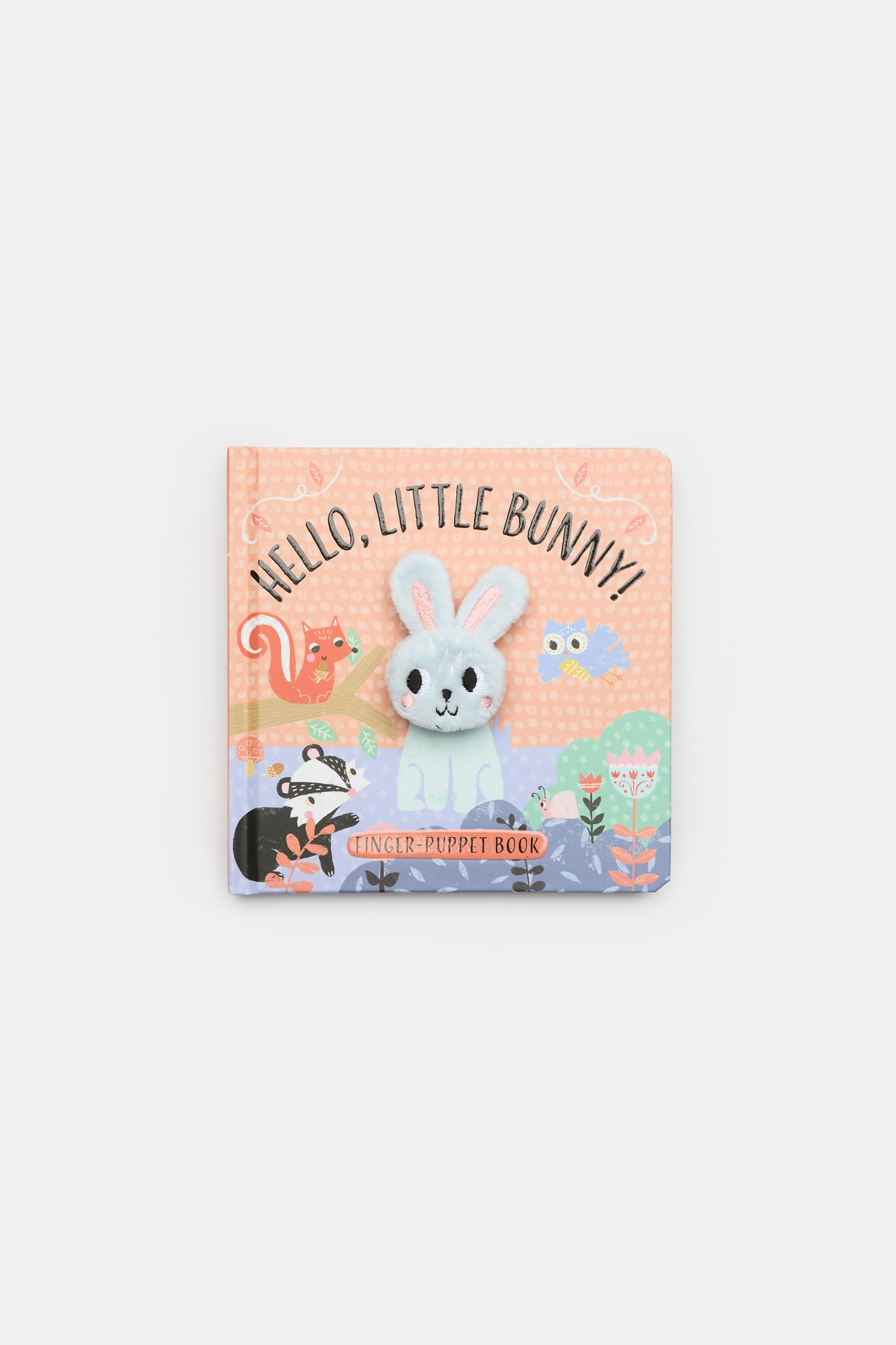 Hello, Little Bunny