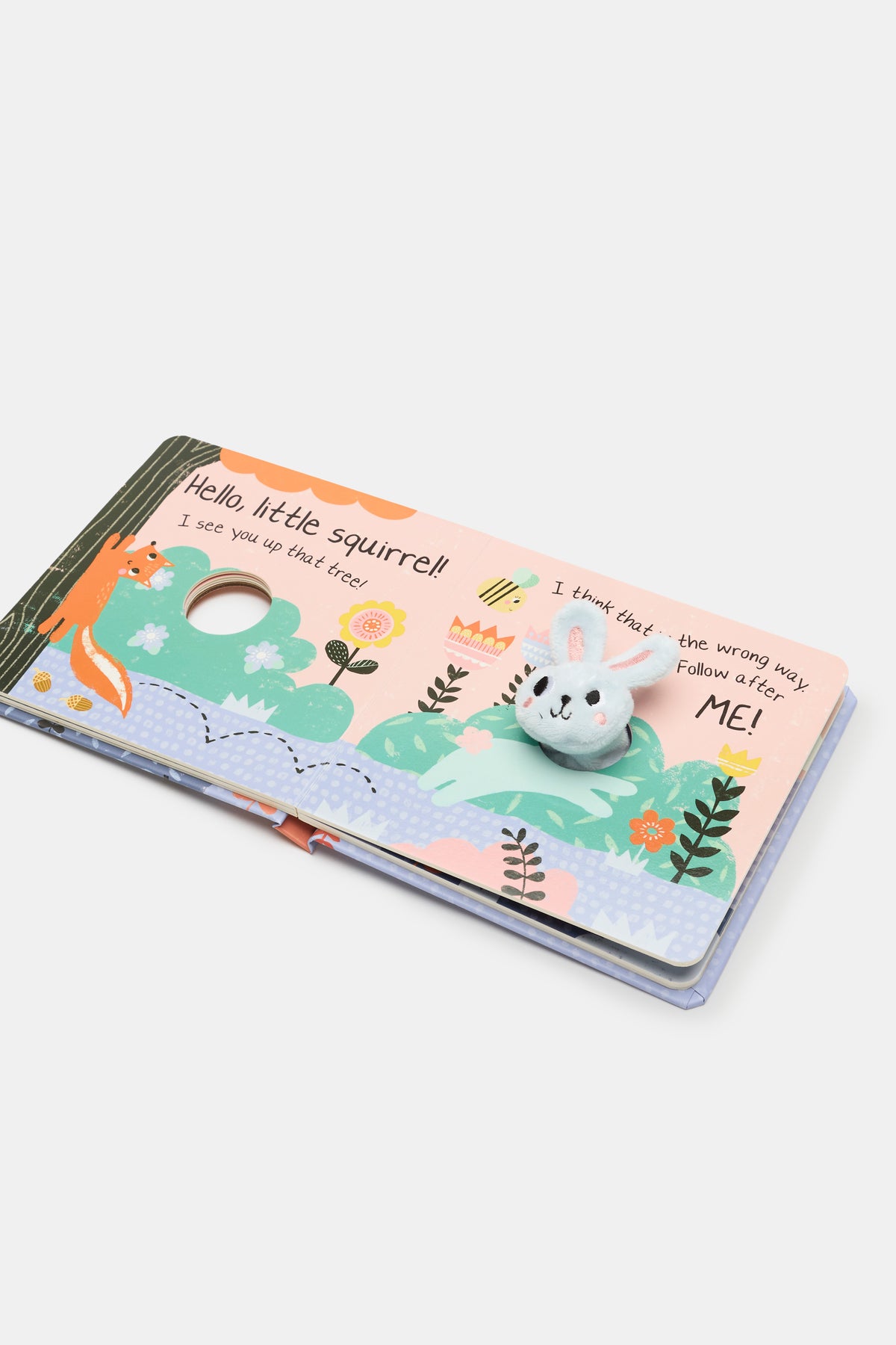 Hello, Little Bunny