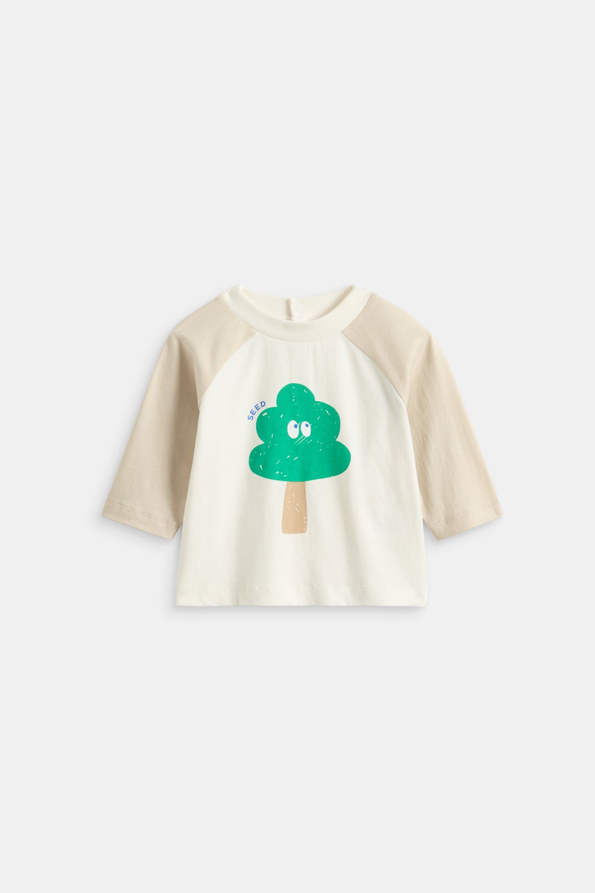 Tree Raglan Tee