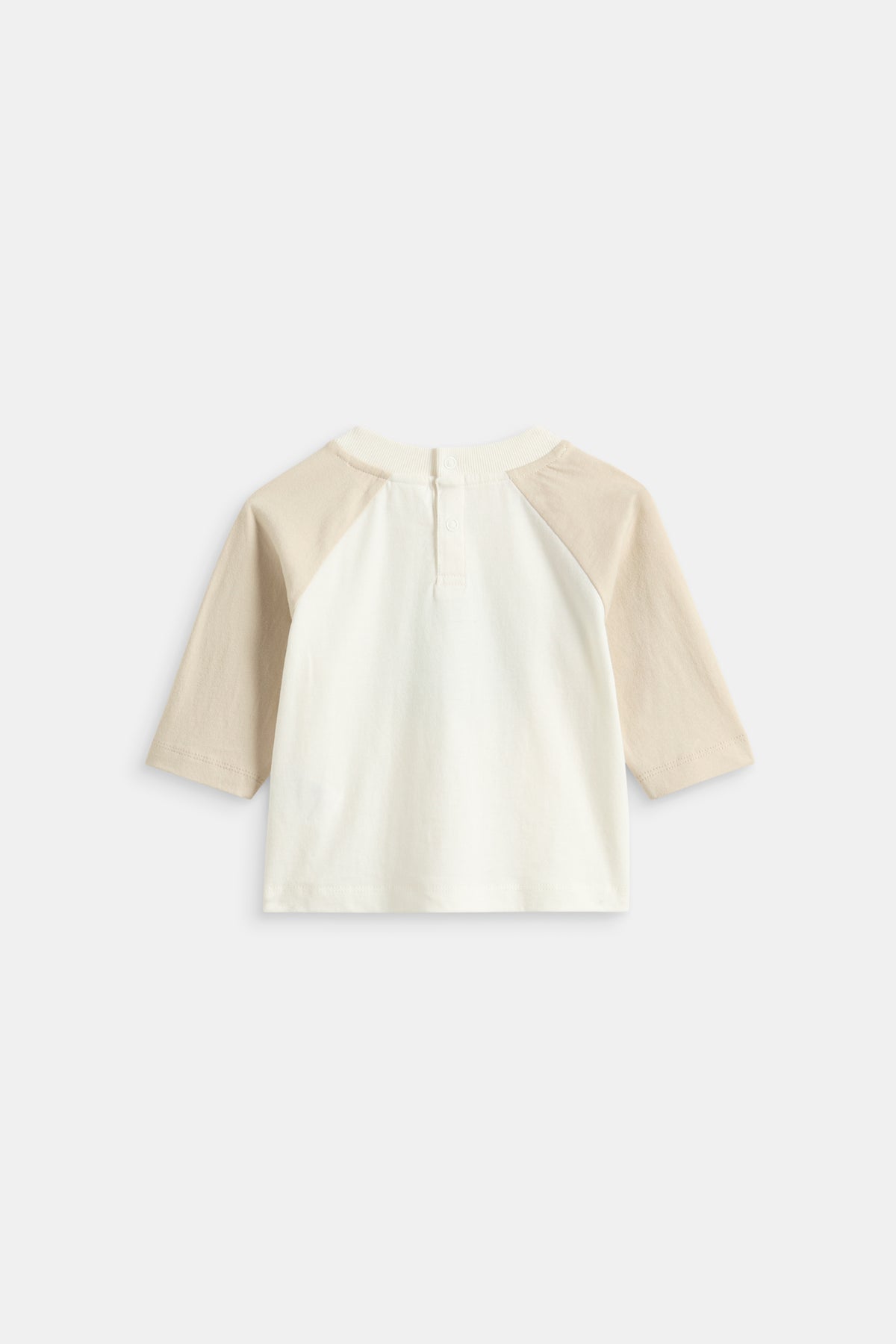 Tree Raglan Tee