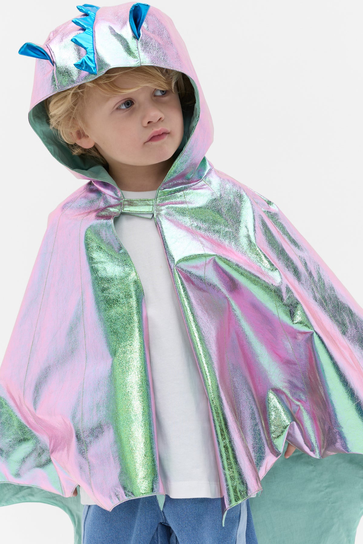 Dragon Costume