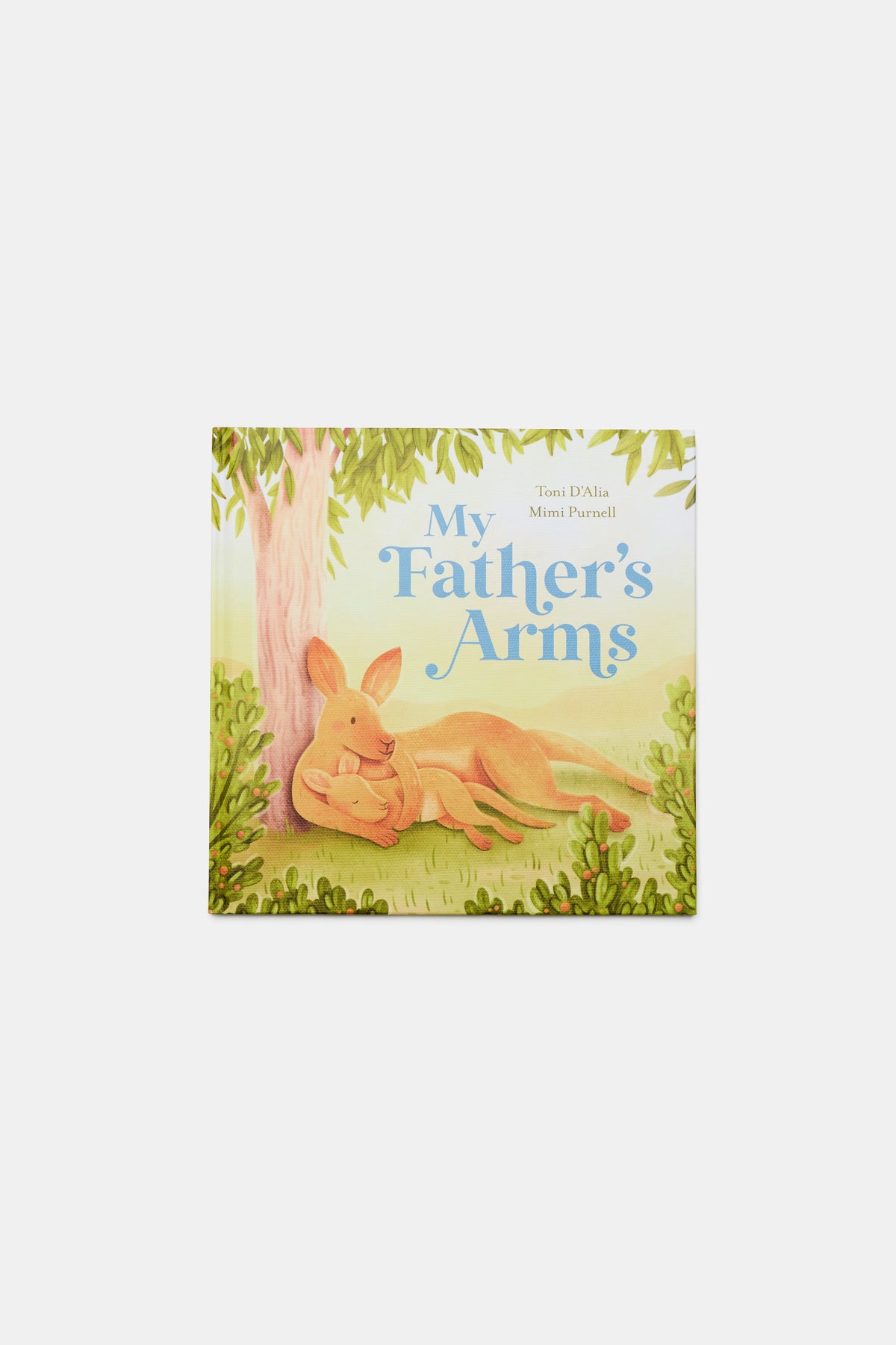 My Father's Arms