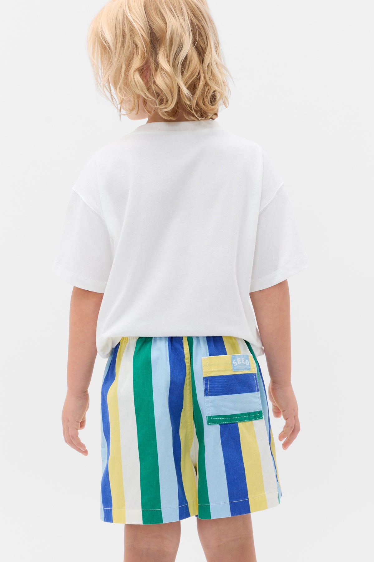Multi Stripe Vacay Short