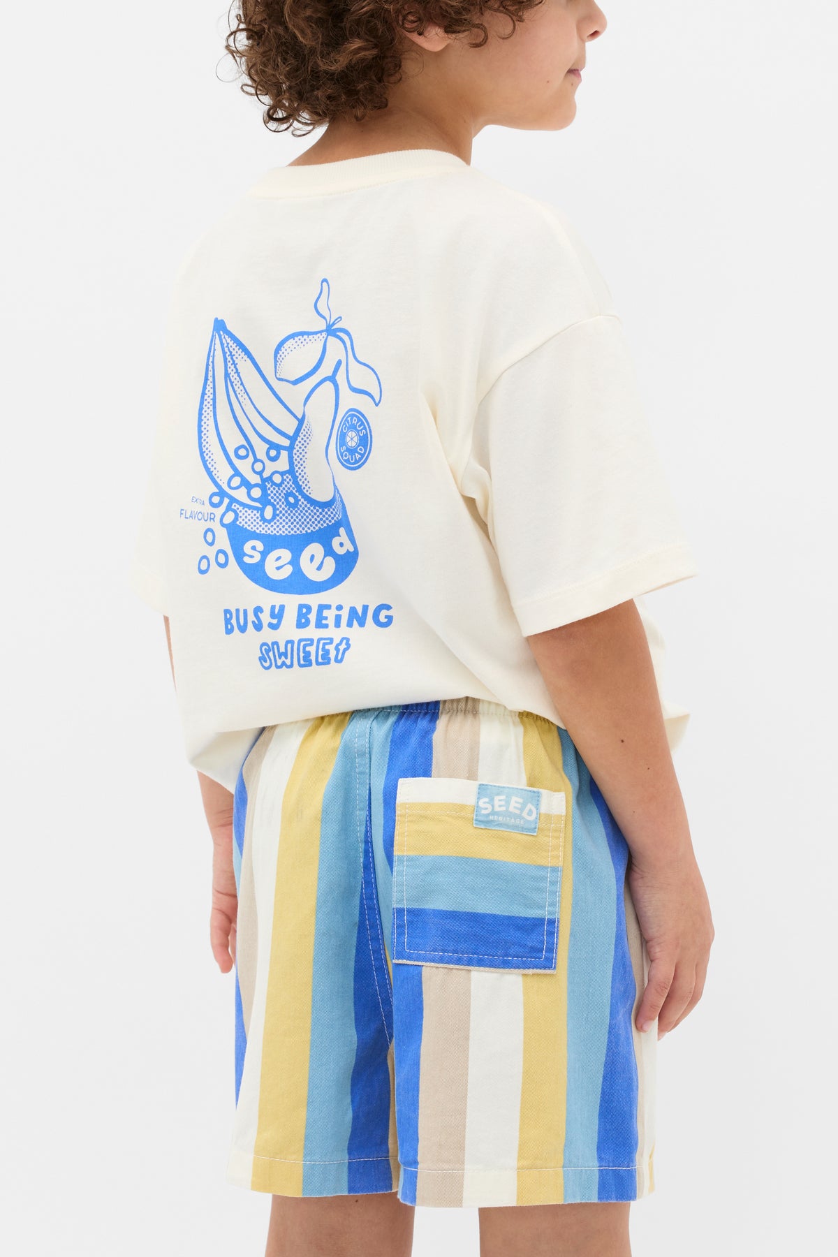 Multi Stripe Vacay Short