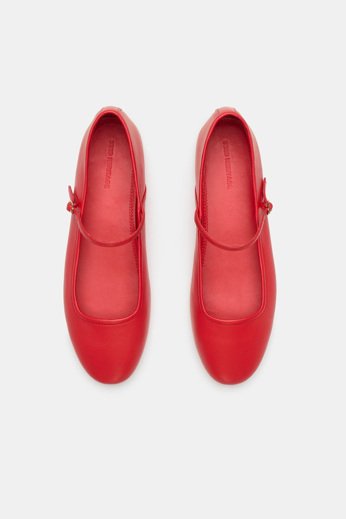 Ciara Ballet Flat