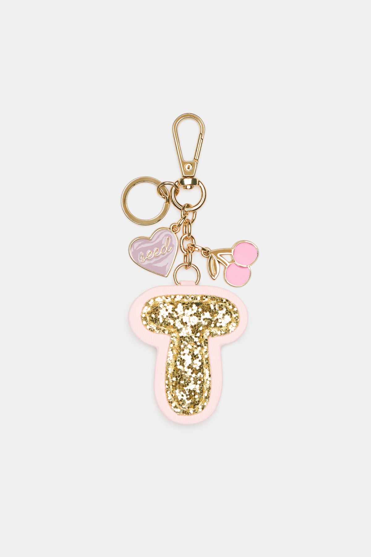 Charm Initial Keyring