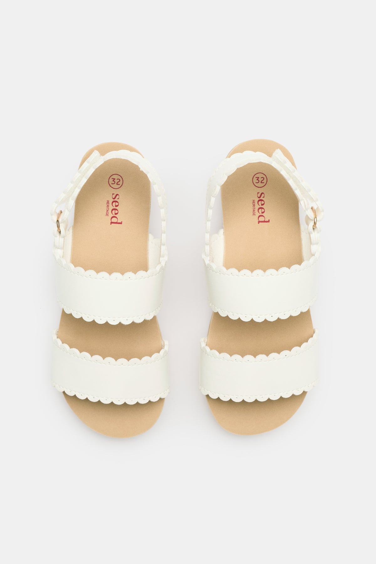 Scallop Clog