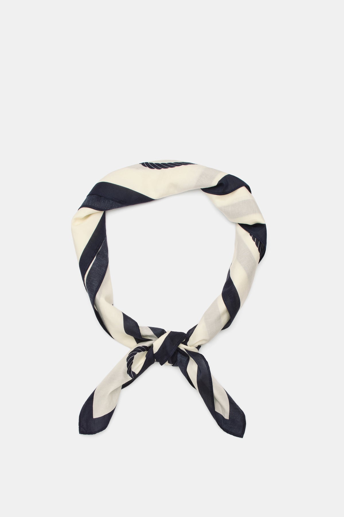 Large Seashell Printed Scarf