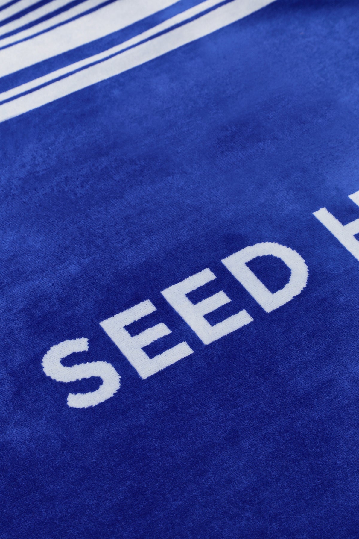 Seed Logo Beach Towel